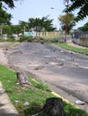 Ecological damage: trees in Puerto Ordaz city, Venezuela, are being cut down in the protests of this South American country. M