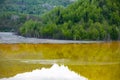 Ecological disaster: cyanide pollution at Geamana Lake near Rosia Montana, Romania