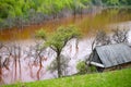 Ecological disaster: cyanide pollution at Geamana Lake near Rosia Montana, Romania