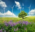 Ecological energy composition Royalty Free Stock Photo