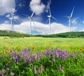 Ecological energy composition Royalty Free Stock Photo