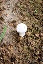 Ecological energy concept. Light bulb in the ground