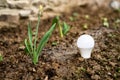 Ecological energy concept. Light bulb in the ground