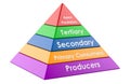 Ecological energy pyramid - trophic levels, 3D rendering Royalty Free Stock Photo