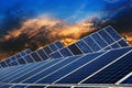 Ecological energy renewable solar panel plant Royalty Free Stock Photo