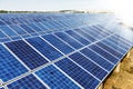 Ecological energy renewable solar panel plant Royalty Free Stock Photo