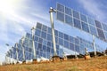 Ecological energy renewable solar panel plant Royalty Free Stock Photo