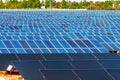 Ecological energy renewable solar panel plant Royalty Free Stock Photo