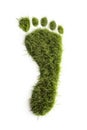 Ecological footprint symbol with green grass foot print. Generative AI.