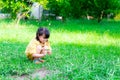Ecological exploratory concept. A 5-year-old Asian little cute girl is sitting on a warm grass field.