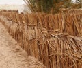 Ecological fence