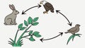 Ecological Food Chain Diagram, Nature and Ecosystems, vector design Generative AI Royalty Free Stock Photo
