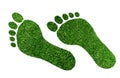 Ecological footprint concept, barefoot footprint made of lush green grass