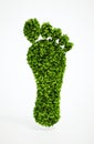 Ecological footprint symbol