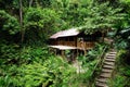 Ecological forest cottage in Minca, Sierra Nevada de Santa Marta Mountain