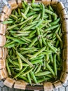 Ecological fresh green peas pods Royalty Free Stock Photo