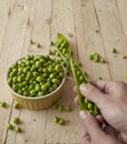 Ecological fresh green peas pods. Royalty Free Stock Photo