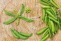Ecological fresh green peas pods. Royalty Free Stock Photo