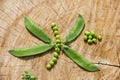 Ecological fresh green peas pods. Royalty Free Stock Photo