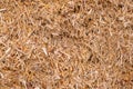 Ecological fuel wood chips used for heating. Actual fuel. A pile of wood chips for a biomass boiler. Close-up of chips Royalty Free Stock Photo