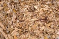 Ecological fuel wood chips used for heating. Actual fuel. A pile of wood chips for a biomass boiler. Close-up of chips Royalty Free Stock Photo
