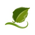 Ecological green nature leaf icon logo design horticulture concept