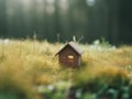 Ecological green wood model house in empty field Royalty Free Stock Photo