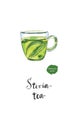 Ecological herbal tea in glass cup with stevia leaves in watercolor