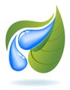 Ecological icon