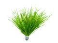 Ecological lamp from a grass Royalty Free Stock Photo