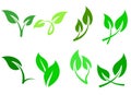 ecological leaf icon set, green environment, energy sign and symbol concept on white background