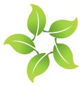 Ecological leafs connected logo