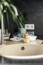 Ecological natural dish brush lies on the sink