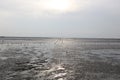 It is a tidal flat on the west coast of korea Royalty Free Stock Photo