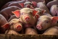 Ecological pigs and piglets at the domestic farm. Generative AI Royalty Free Stock Photo