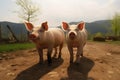 Ecological pigs and piglets at the domestic farm, Pigs at factory. Neural network AI generated