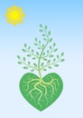 Ecological poster