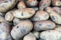 Ecological potatoes Royalty Free Stock Photo