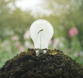 Ecological power and energy concept Royalty Free Stock Photo