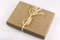 Ecological present box Royalty Free Stock Photo