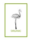 Ecological product concept, flamingo like tree on white background, green eco product idea, eco production,