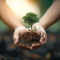 Ecological sentiment Human hand holds a tree in nature