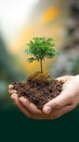 Ecological sentiment Human hand holds a tree in nature