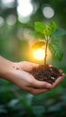 Ecological sentiment Human hand holds a tree in nature