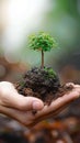 Ecological sentiment Human hand holds a tree in nature