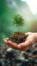 Ecological sentiment Human hand holds a tree in nature