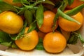 Ecological tangerine basket on a light wooden base Royalty Free Stock Photo