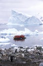 Ecological tourists in inflatable Zodiac boat observe Gentoo penguins in Paradise Harbor, Antarctica