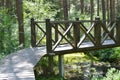 Ecological trail in a forest swamp. Wooden path between trees. Log bridge over the bog