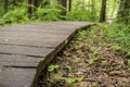 Ecological trail made of wooden planks for walking in the woods.